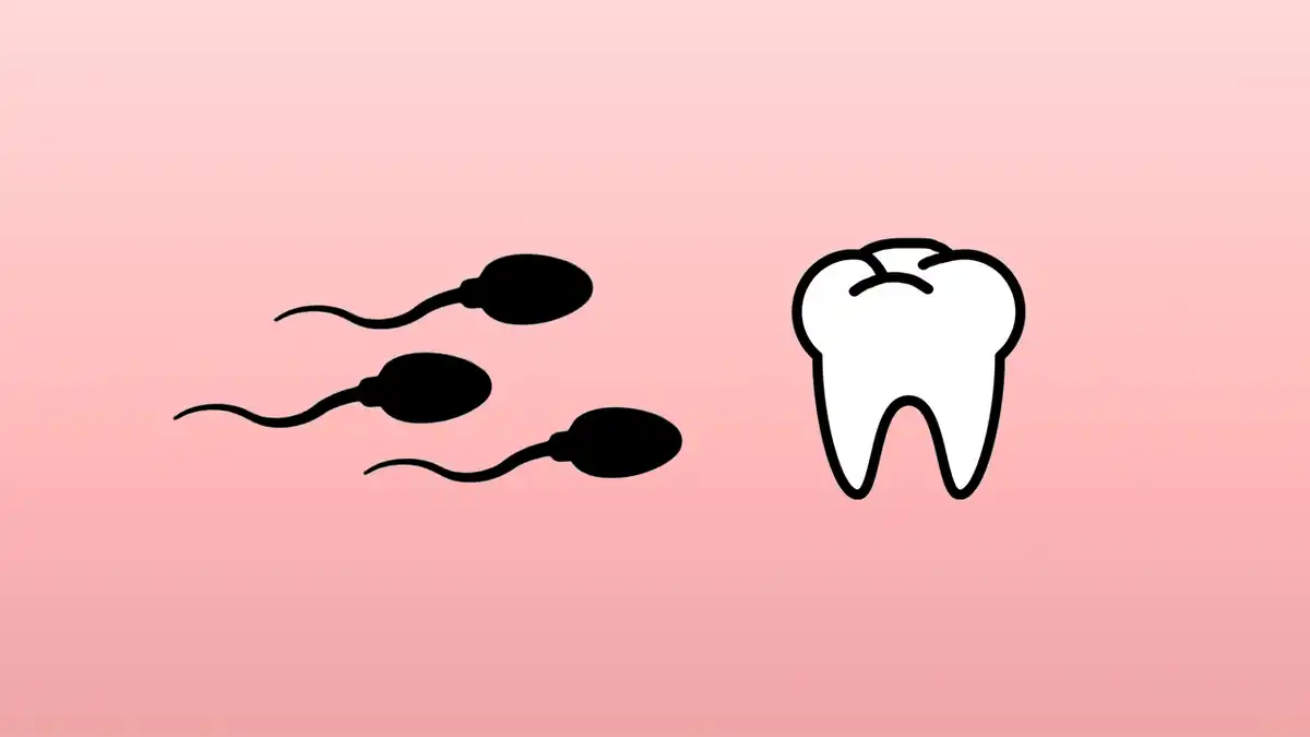 Can Semen Actually Prevent Cavities? The Truth Explained 