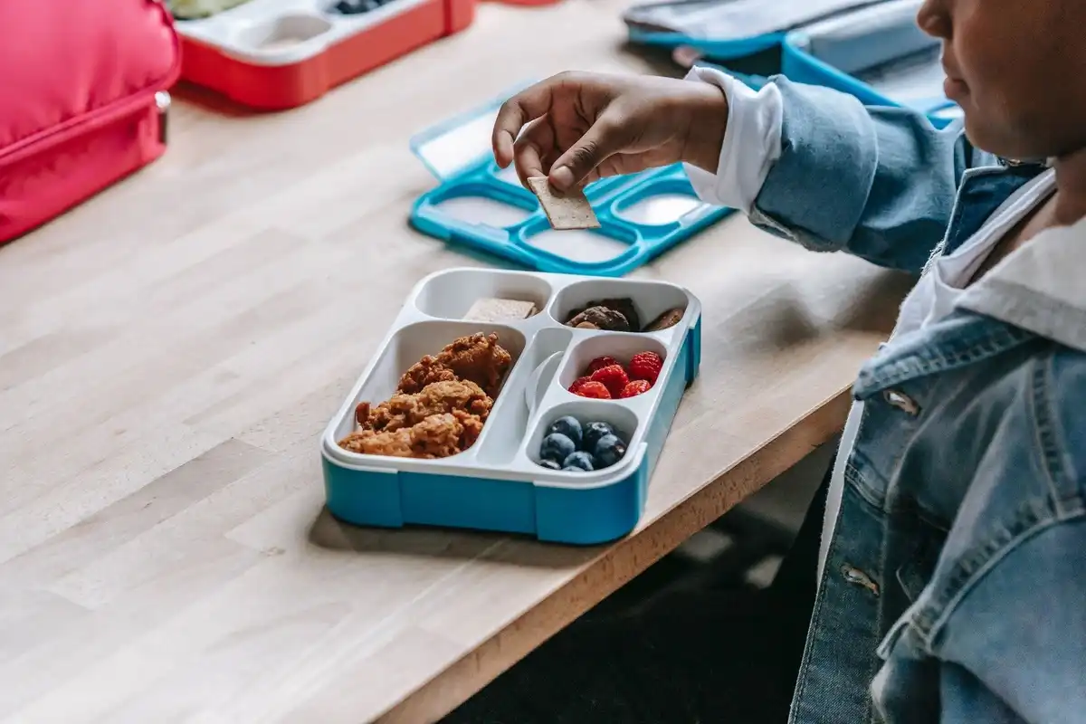 Are You Packing Your Kids Cavities? 9 Tooth-Approved Lunch Ideas