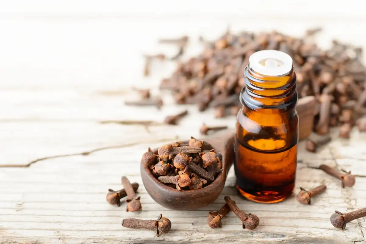 Does Clove Oil Really Work for Toothaches?